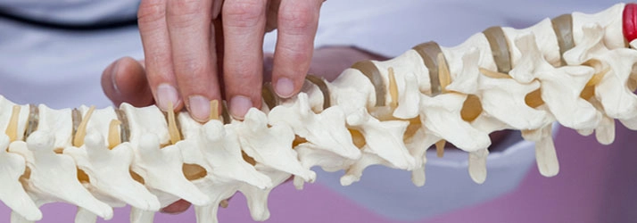Chiropractic Parker CO Spine Chiropractic Parker CO Spine